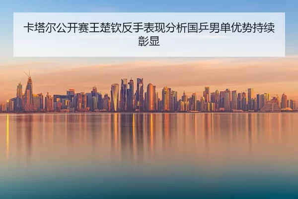 卡塔尔公开赛王楚钦反手表现分析国乒男单优势持续彰显