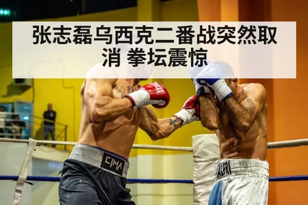 张志磊乌西克二番战突然取消 拳坛震惊 - huangguanyule